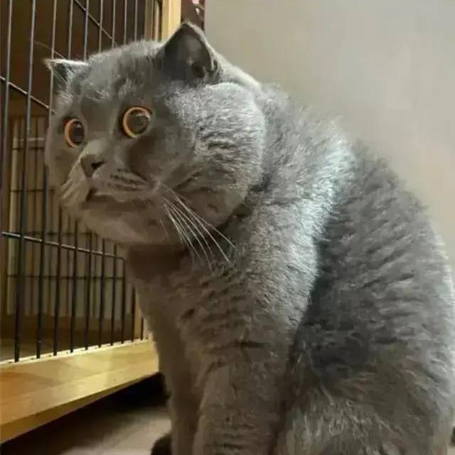 梁云